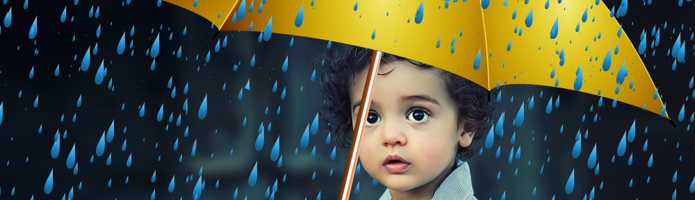 Responses to the Ministry of Justice law reform consultation