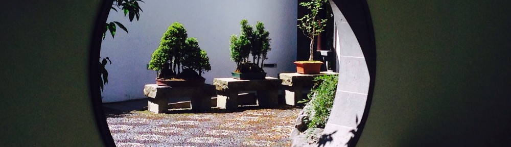 "Open" Adoption  - no legal framework for open adoption